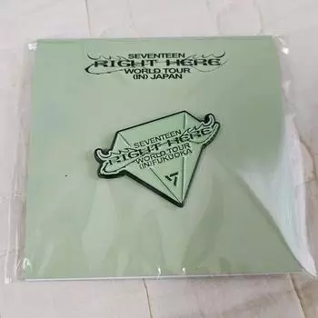 Seventeen Ilcon Japan Concert Ilto Goods Md Pin Badge
