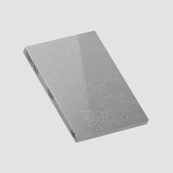 Seventeen Jung Han Won Woo выпустил альбом