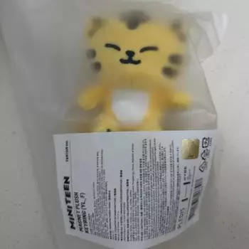 Seventeen Miniteen Tam Key Ring