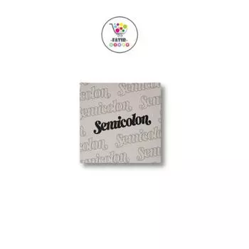 SEVENTEEN Специальный альбом SEMICOLON