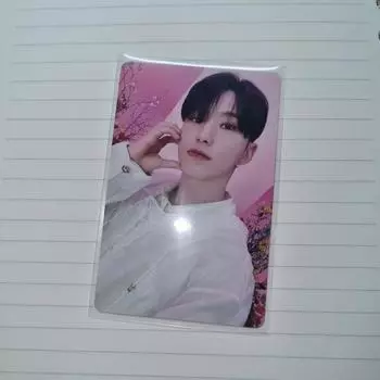 Seventeen Всегда Ваш Хоши Фотокарточка