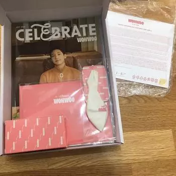 Seventeen Wonwoo Birthday Box Raw Beef Full Set