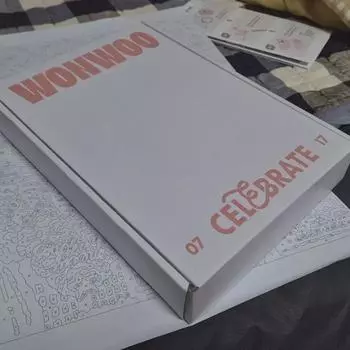 Seventeen Wonwoo Birthday Box Ver.3