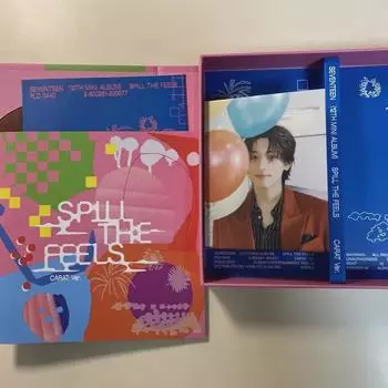 Seventeen Wonwoo Carat Ban