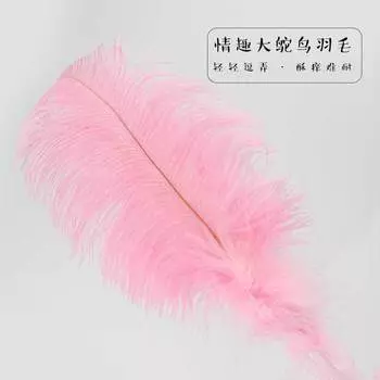 Sex toys, breasts, flirting, feathers, ostrich feathers, plush sticks, adult products, a piece of underwear
