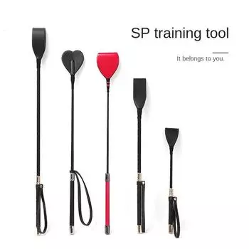 Сексуальная ролевая игра SM с кнутом и кнутом