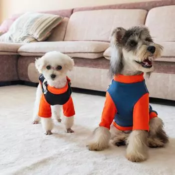 Сезонная одежда для домашних животных Двуногий свитер Съемная школьная сумка Свитер для маленьких собак S синий