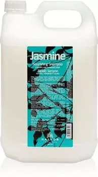 Shampoing Pour Cheveux Secs Et Abms TU прозрачный