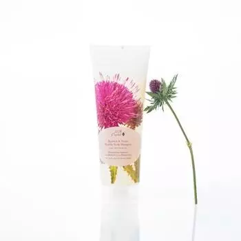 Шампунь или кондиционер 236 мл Выбрать 1 Yuju Pomelo Shampoo