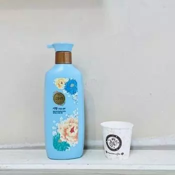 Шампунь Lien Jayoon Seohyang 500 мл, 1 шт.