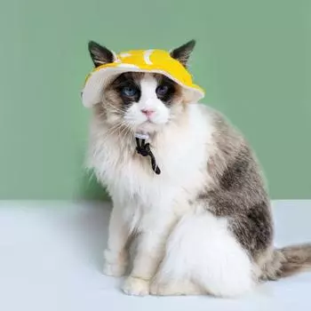 Шапка для домашних животных с отверстиями для ушей Мягкая дышащая шапка для кошек с регулируемым ремешком Летняя уличная шапка M жёлтый