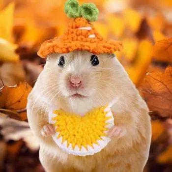 Шапка для хомяка Yousheng, маленькая вязаная шапка для хомяка, бандана, набор, регулируемые аксессуары для костюмов для маленьких животных, для хомяков, морских свинок G