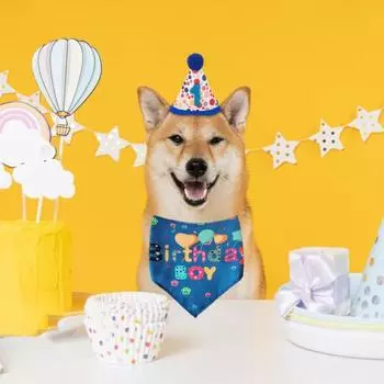 Шапка для собачьего дня рождения, бандана, наряд, украшения для вечеринки, шарф для собачьего дня рождения, шапка, набор аксессуаров для костюма с цифрами розовый