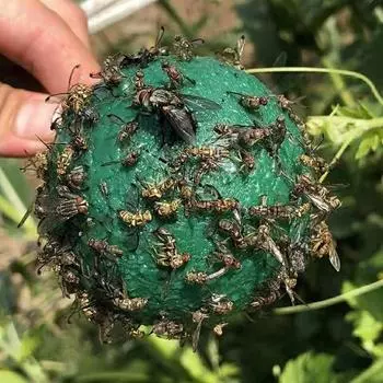 Шарик-приманка для дрозофилы, ловушка для фруктовых мух, липкий шарик для насекомых, цитрусовая игольная пчелиная мушка, желто-зеленый шарик для комаров, ловушка для насекомых 1pcs жёлтый