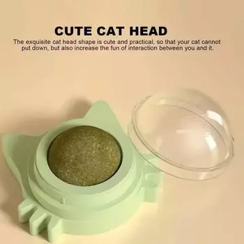 Шарики из кошачьей мяты Забавные лизаемые кошачьи закуски Шарики из кошачьей мяты Котенок играет в жевательную игрушку для чистки зубов для маленьких средних кошек, товары для домашних животных зелёный