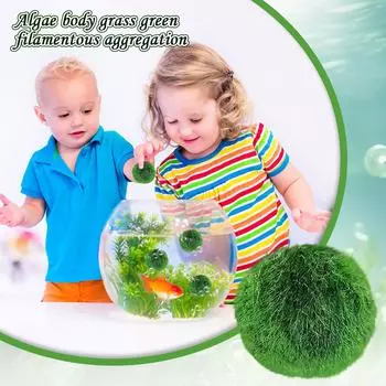 Шарики из мха для аквариума, 8 шт., пропитанные 1-1,5-дюймовые декоративные растения для аквариума, зеленые шарики из мха для украшения аквариума 2-2.5cm