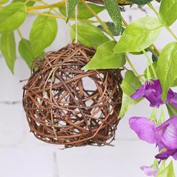 Шарики Takraw Основной цвет Рождественские шарики из натурального винограда