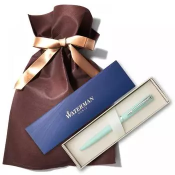 Шариковая ручка Роскошный подарок Waterman Allure Выдвижная шариковая ручка со специальной упаковкой Подарочная шариковая ручка в коробке (Пастельно-зеленый)