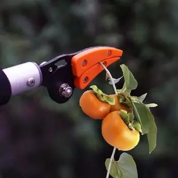 Sharpened Blades Long Handle Reach Pruner Sturdy And Durable Long Handle Pruning Shears Easy