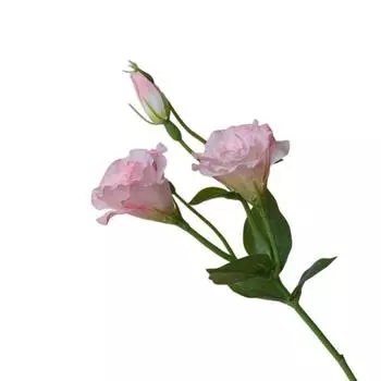 Шелковые цветы Искусственные цветы лизиантуса Настоящее прикосновение Искусственный букет Украшение для дома