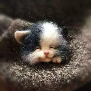 Шерстяной войлок, собака, ручная работа, материал для самостоятельной работы, сумка, кошка, карман, кукла, игрушка, животное, брошь, кукла для питомца 11