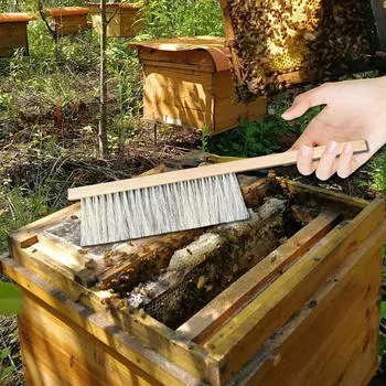 Щетка для улья для пчеловодов с деревянной ручкой, инструмент для подметания пчел A