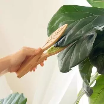 Щипцы для чистки листьев с деревянной ручкой Комнатное растение в помещении и на открытом воздухе Удаление пыли с листьев