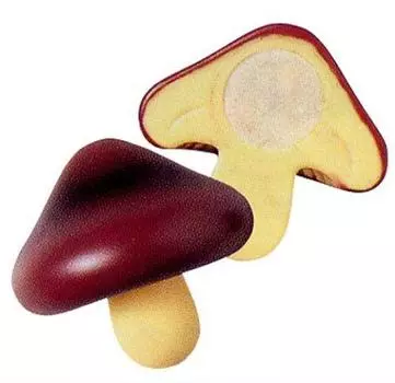 Шиитаке серии Party Queen №1114