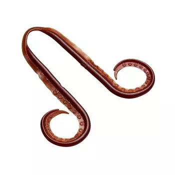 SHIMANO Engetsu Fishing Necktie Vivid Curly 011 Isome Pumpkin EW-006P