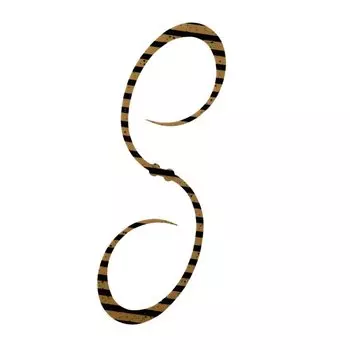 SHIMANO Engetsu Response Curly 011 Zebra Gripa ED-X04U