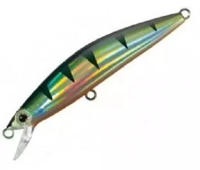 SHIMANO Lure Cardiff Toga Cardiff Toga Shakujo Specification 67HS Holo Perch 12T TN-067J