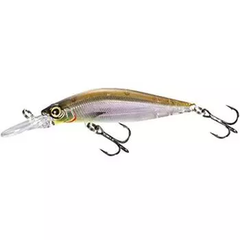 SHIMANO Minnow Cardiff Flugel Sakuramasu 70F AR-C TN-170R 005 Akakin