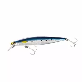 SHIMANO Seabass Lure Minnow Exsence Silent Assassin 120F Jet Boost 001 Kyorin Sardine XM-112R