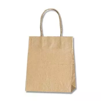 Shimojima Heiko Paper Bag 25CB Unbleached Craft 21x12x25cm 50 Sheets 21-12