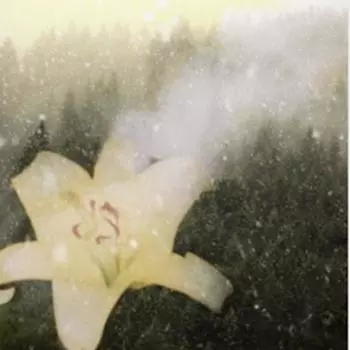 Шин Хекён - Странный взгляд 2024.11.27 0