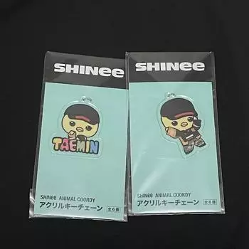 Shinee Taemin Sega Sega Acrylic Key Ring