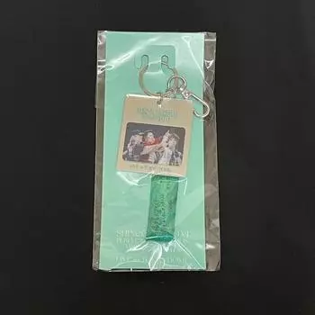 Shinee Tokyo Dome Perfect Illumination Final Keyring