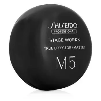 Shiseido professional stage works true effector matte 80g