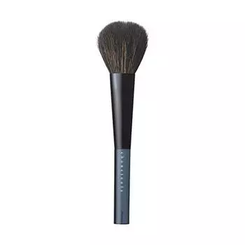 shiseido schuetours face color brush m