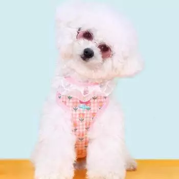 Шлейка Berit Dog Flower для маленьких собак, для средних собак, синяя