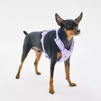 Шлейка без лямок Far Puppy, Monte Lavender