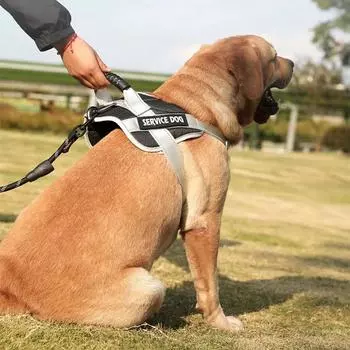 Шлейка для больших собак, нейлоновая светоотражающая нагрудная стропа для французского бульдога, ошейник для лабрадора, принадлежности для тренировок и прогулок на свежем воздухе XS