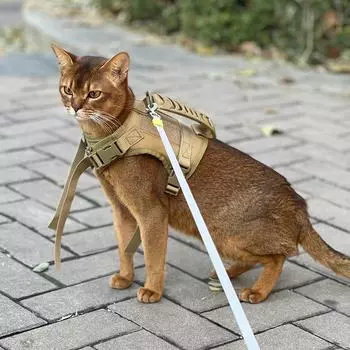 Шлейка для кошек для котят Шлейка для маленьких собак для кошек Шлейка для больших кошек Тактика для щенков Мягкая дышащая Аксессуары для обучения ходьбе