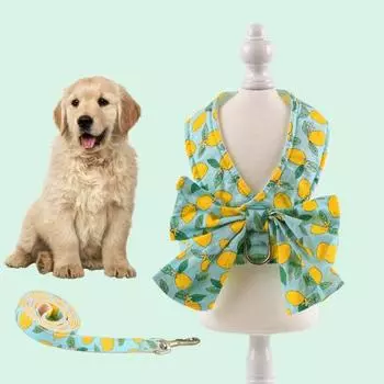 Шлейка для кошки с поводком, веревка, дышащая сетка, жилет для собаки с бантом, цветок для домашнего животного XS циан