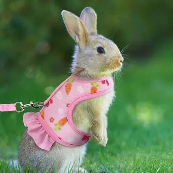 Шлейка для кроликов с поводком, симпатичная, регулируемая пряжка, дышащий сетчатый жилет для кролика, морской свинки, грудь, шлейка для маленьких домашних животных Sui S оранжевый