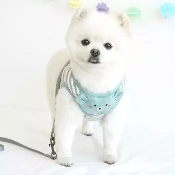 Шлейка для щенков Paris Dog Cutie Bear Bib Puppy, L, синяя, 1 комплект