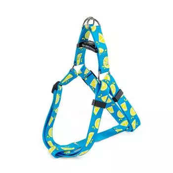 Шлейка для собак All For Paws для маленьких и больших собак, синяя с лимонным принтом, нейлоновый регулируемый жилет, для прогулок на улице, бега XS 20-35CM