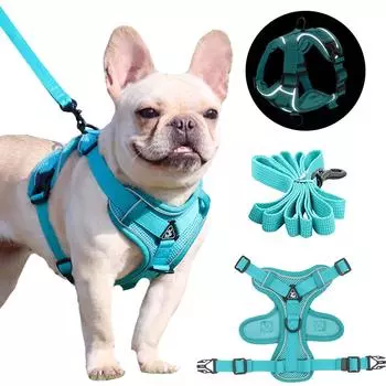 Шлейка для собак без тяги, комплект поводков для домашних животных, светоотражающая сетка, нагрудный ремень для щенков, для маленьких средних собак, кошек, регулируемый сетчатый жилет, французский бульдог, чихуахуа XL бирюзовый