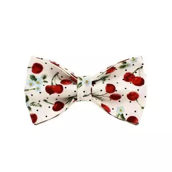 Шлейка для собак из нейлона, ошейник с персонализированным именем, ошейники для маленьких и средних собак, поводок, ошейник, набор, мешок для какашек, шлейка для щенков и кошек XS