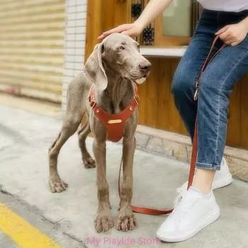 Шлейка для собак с поводком, не требующая усилий, нагрудный ремень для выгула собак, шлейка для вытягивания, шлейка для активного отдыха на открытом воздухе, быстросъемная шлейка S коричневый